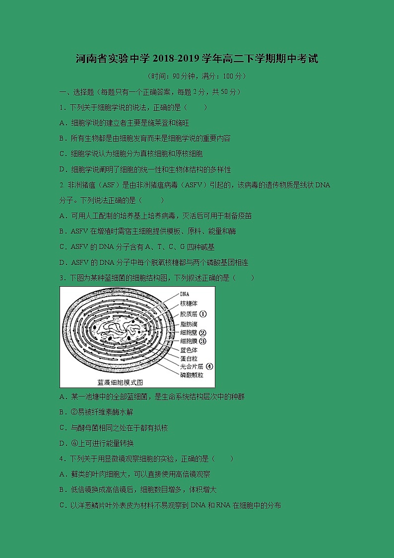 【生物】河南省实验中学2018-2019学年高二下学期期中考试01