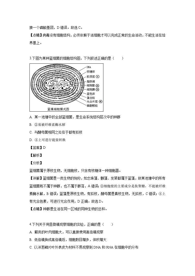 【生物】河南省实验中学2018-2019学年高二下学期期中考试试题 （解析版）02