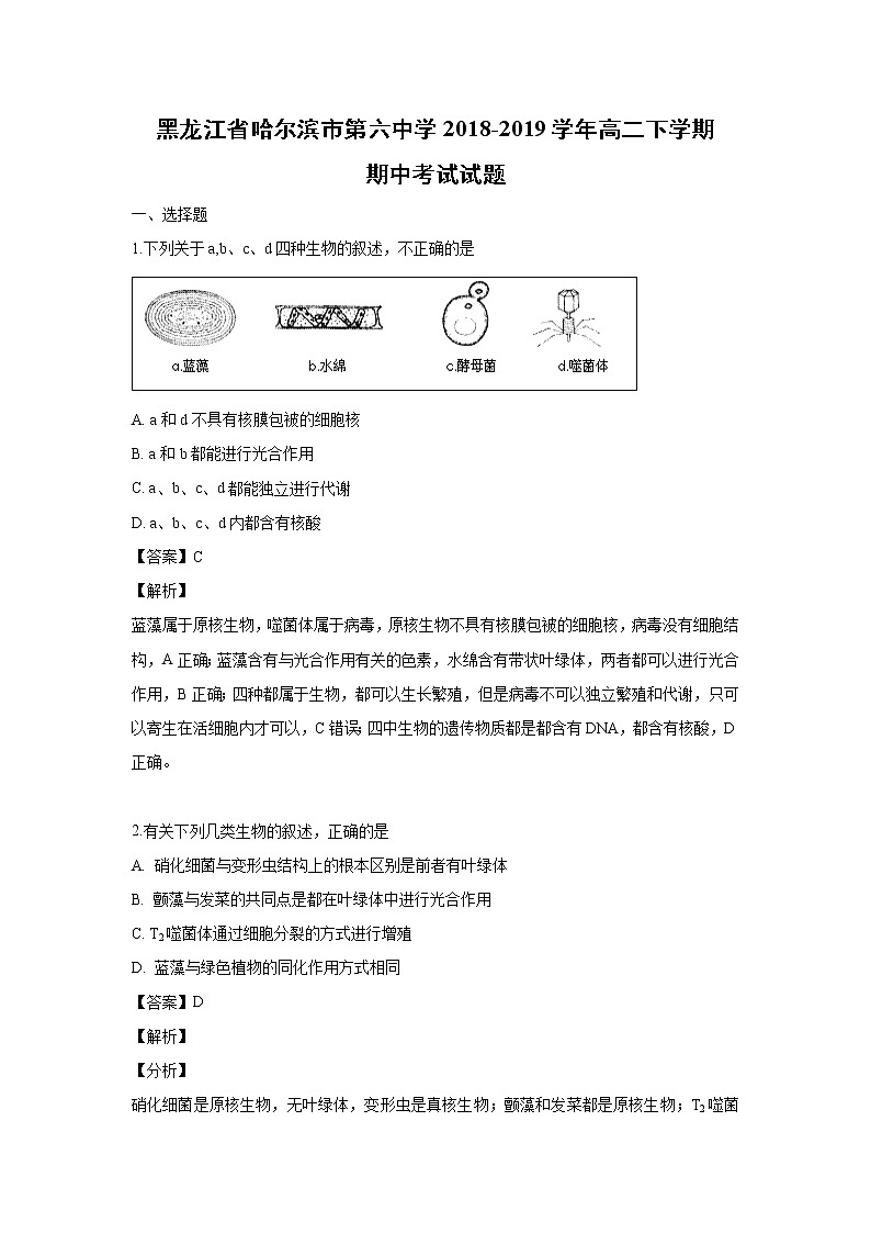 【生物】黑龙江省哈尔滨市第六中学2018-2019学年高二下学期期中考试试题 （解析版）01