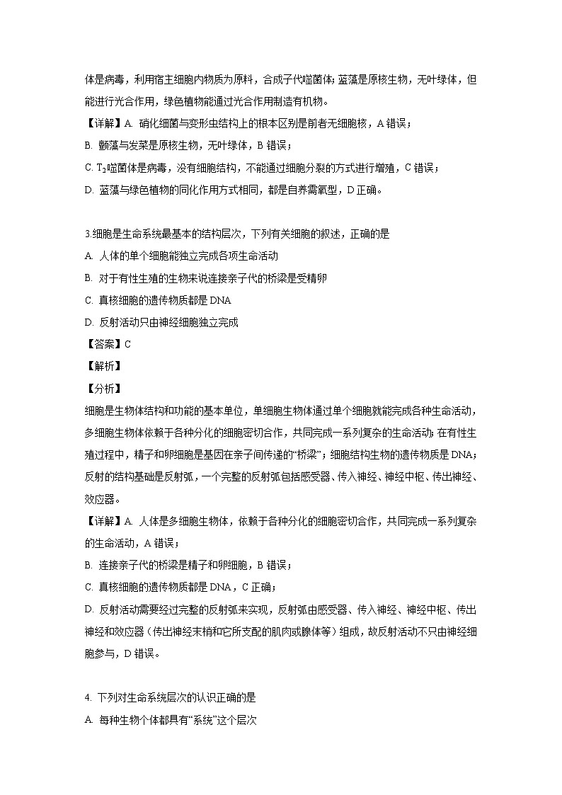 【生物】黑龙江省哈尔滨市第六中学2018-2019学年高二下学期期中考试试题 （解析版）02