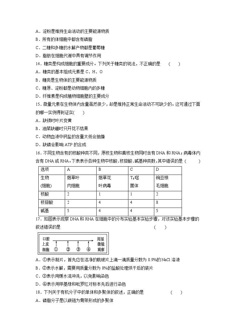 【生物】黑龙江省哈尔滨市呼兰一中、阿城二中、宾县三中、尚志五中四校2018-2019学年高二下学期期中考试试题03