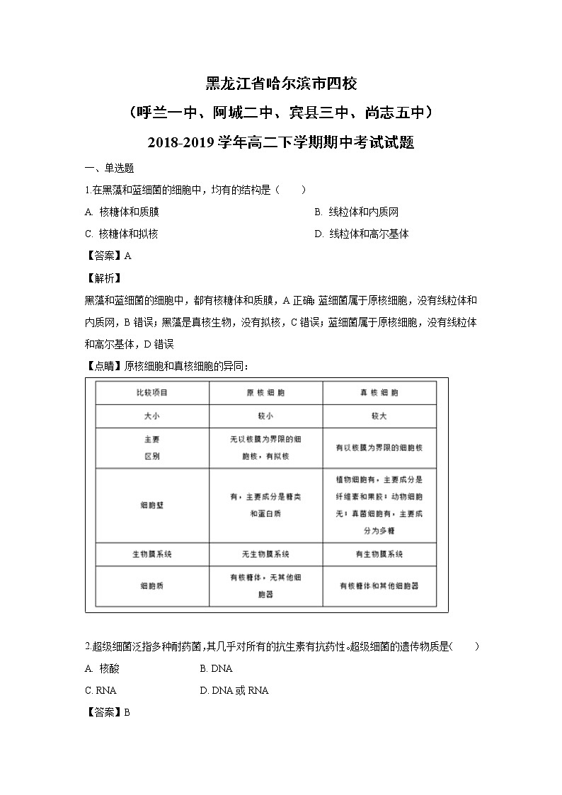 【生物】黑龙江省哈尔滨市四校（呼兰一中、阿城二中、宾县三中、尚志五中）2018-2019学年高二下学期期中考试试题（解析版）第1页