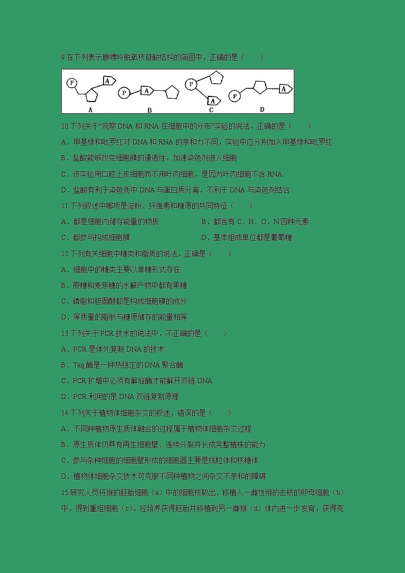 【生物】内蒙古集宁一中（西校区）2018-2019学年高二下学期期中考试试题03