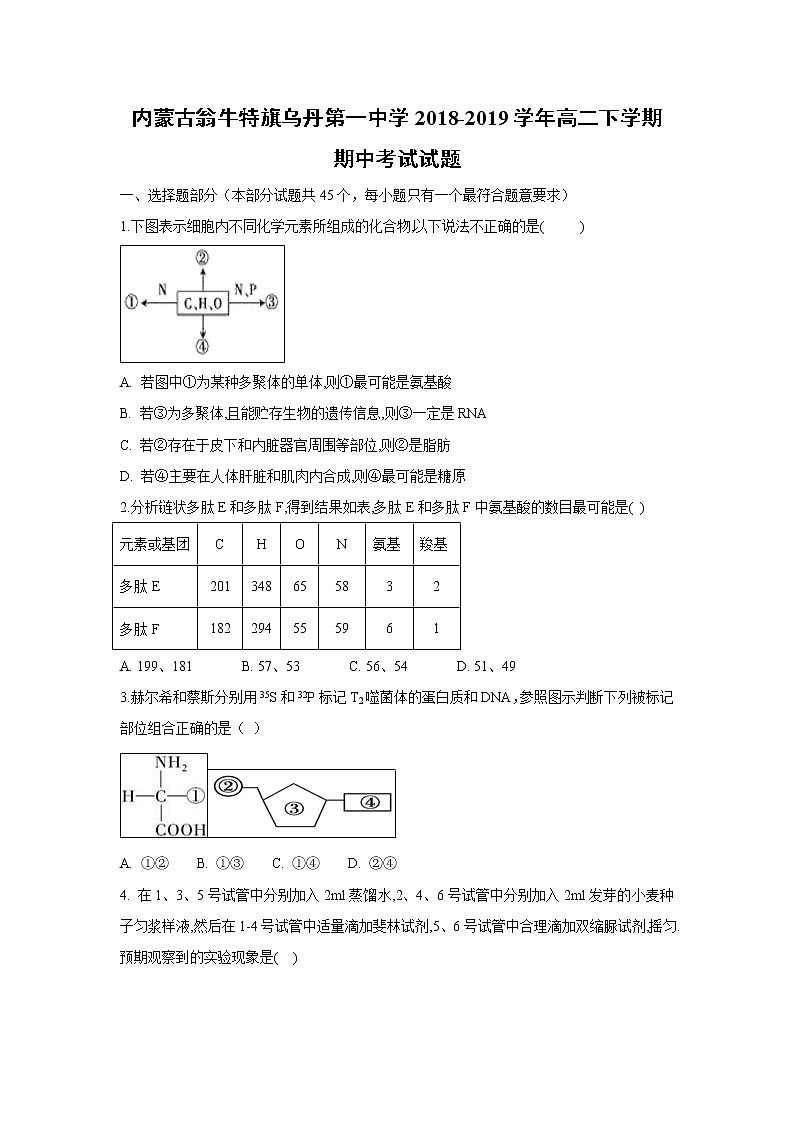 【生物】内蒙古翁牛特旗乌丹第一中学2018-2019学年高二下学期期中考试试题01