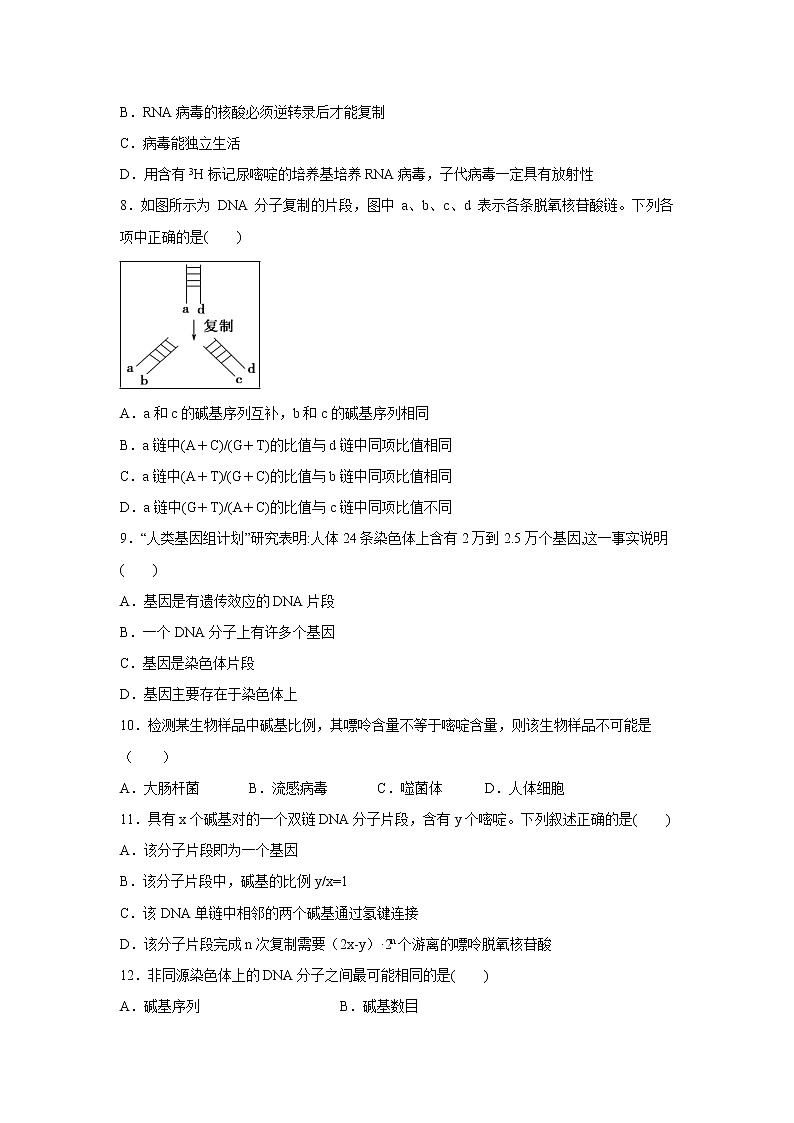 【生物】宁夏石嘴山市第三中学2018-2019学年高二下学期期中考试试题02