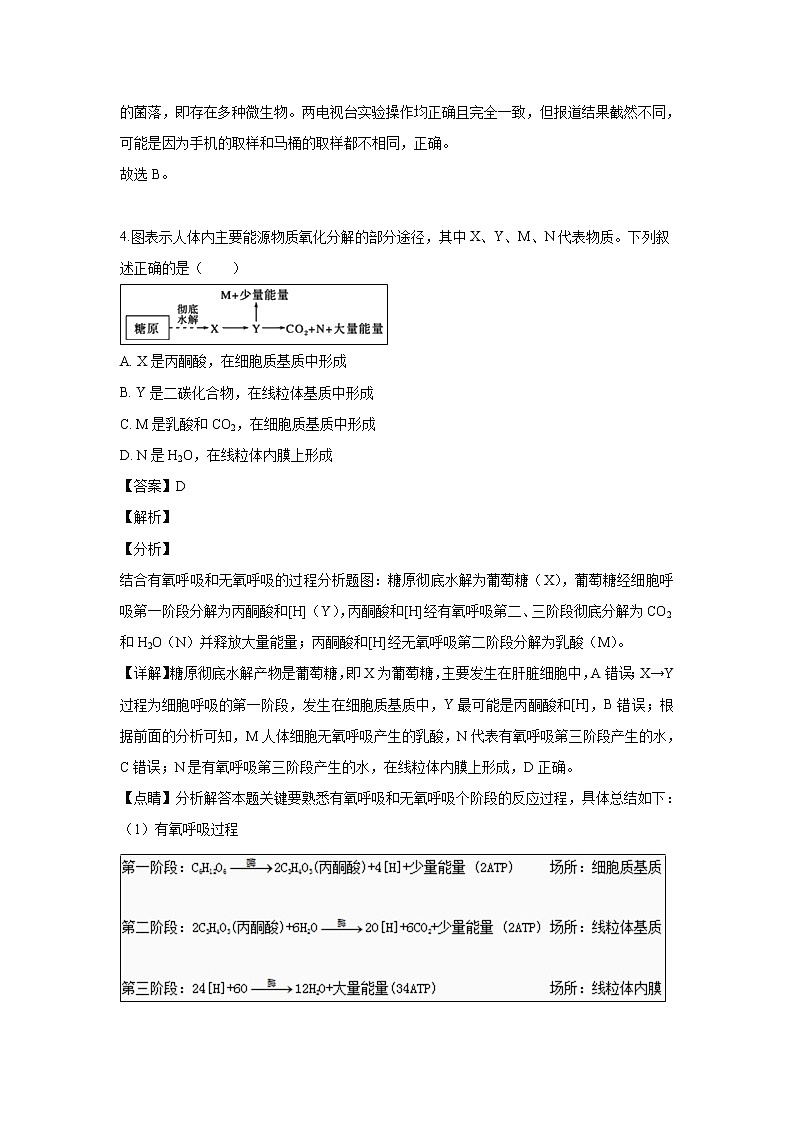 【生物】内蒙古自治区第一机械制造（集团）有限公司第一中学2018-2019学年高二下学期期中考试试卷 （解析版）03