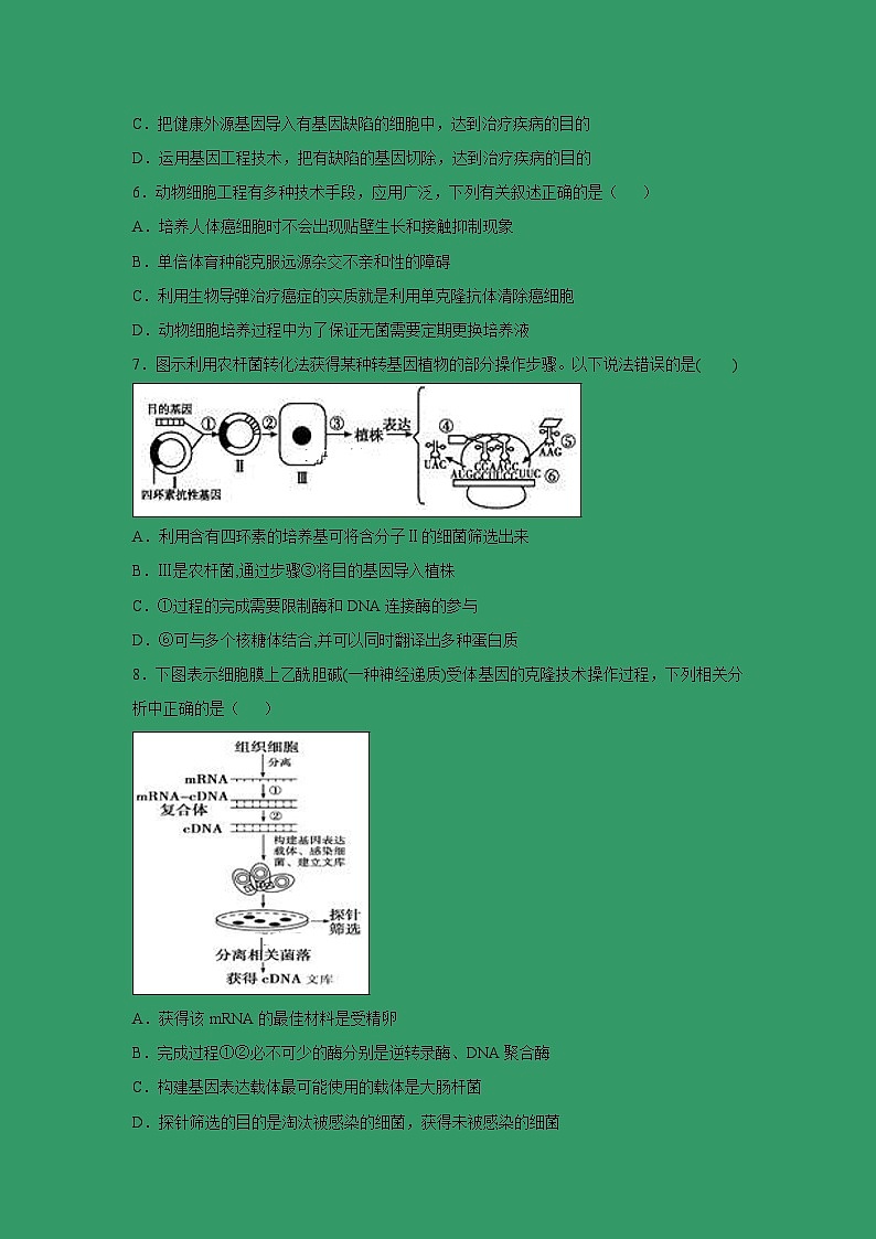 【生物】山东省新泰市第二中学2018-2019高二下学期期中考试试卷02