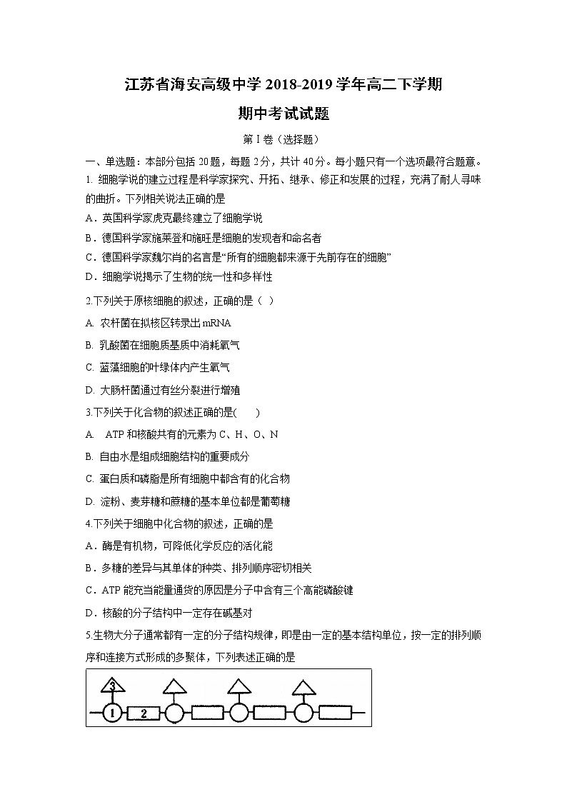 【生物】江苏省海安高级中学2018-2019学年高二下学期期中考试试题01