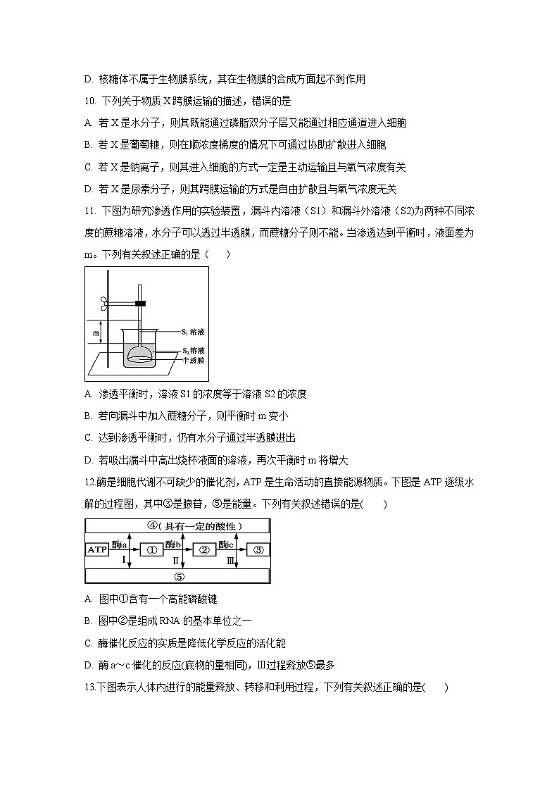 【生物】江苏省海安高级中学2018-2019学年高二下学期期中考试试题03