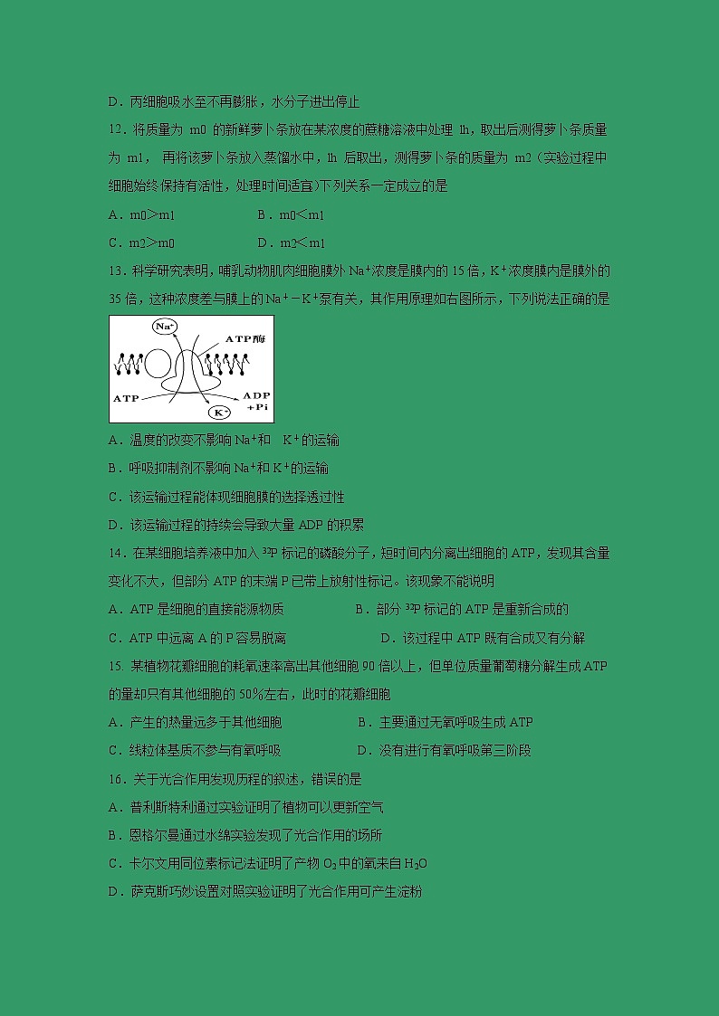 【生物】江苏省启东中学2018-2019学年高二下学期期中考试试题第3页