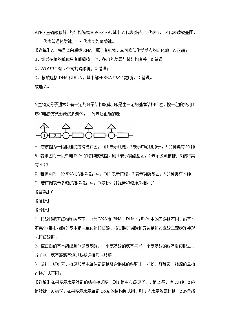 【生物】江苏省海安高级中学2018-2019学年高二下学期期中考试试题（解析版）03