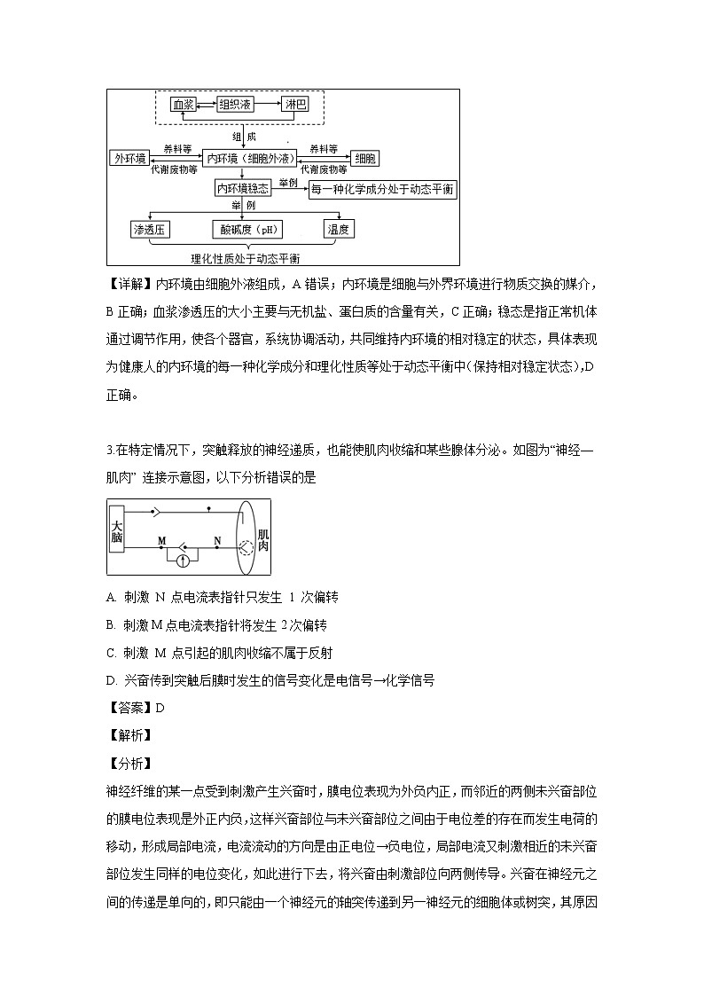 【生物】江苏省马坝高级中学2018-2019学年高二下学期期中考试试题（解析版）02