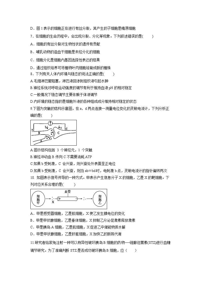 【生物】广西桂林市第十八中学2018-2019学年高二下学期期中段考试题03