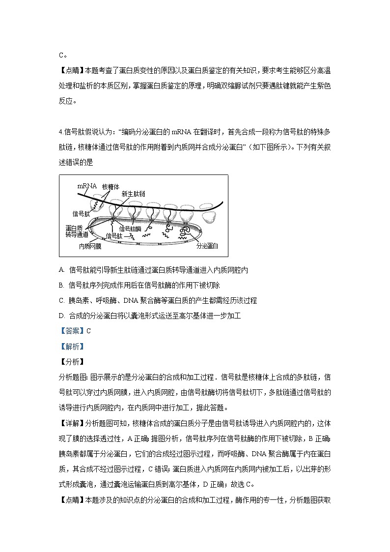 【生物】广西壮族自治区南宁市第三中学2018-2019学年高二下学期期中考试试卷 （解析版）03
