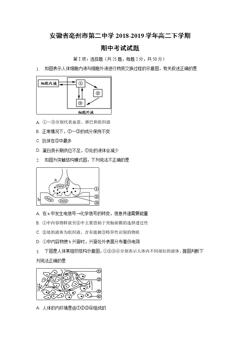【生物】安徽省亳州市第二中学2018-2019学年高二下学期期中考试试题01