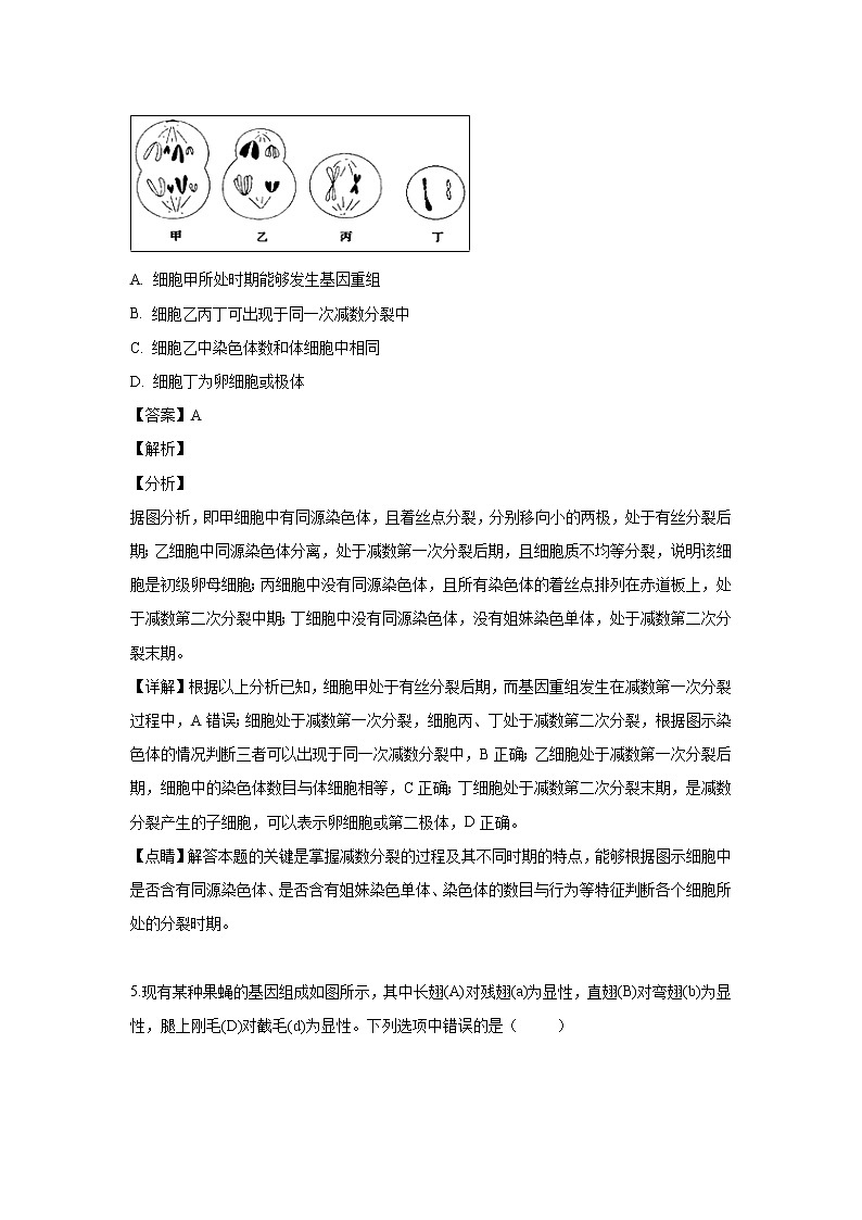 【生物】安徽省蚌埠市第二中学2018-2019学年高二下学期期中考试试题 （解析版）03
