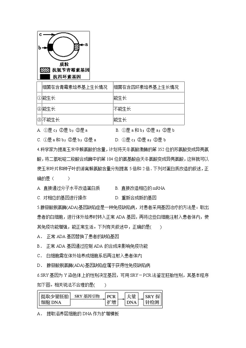 【生物】安徽省合肥一六八中学2018-2019学年高二下学期期中考试试卷02