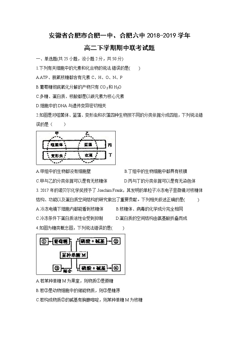 【生物】安徽省合肥市合肥一中、合肥六中2018-2019学年高二下学期期中联考试题第1页