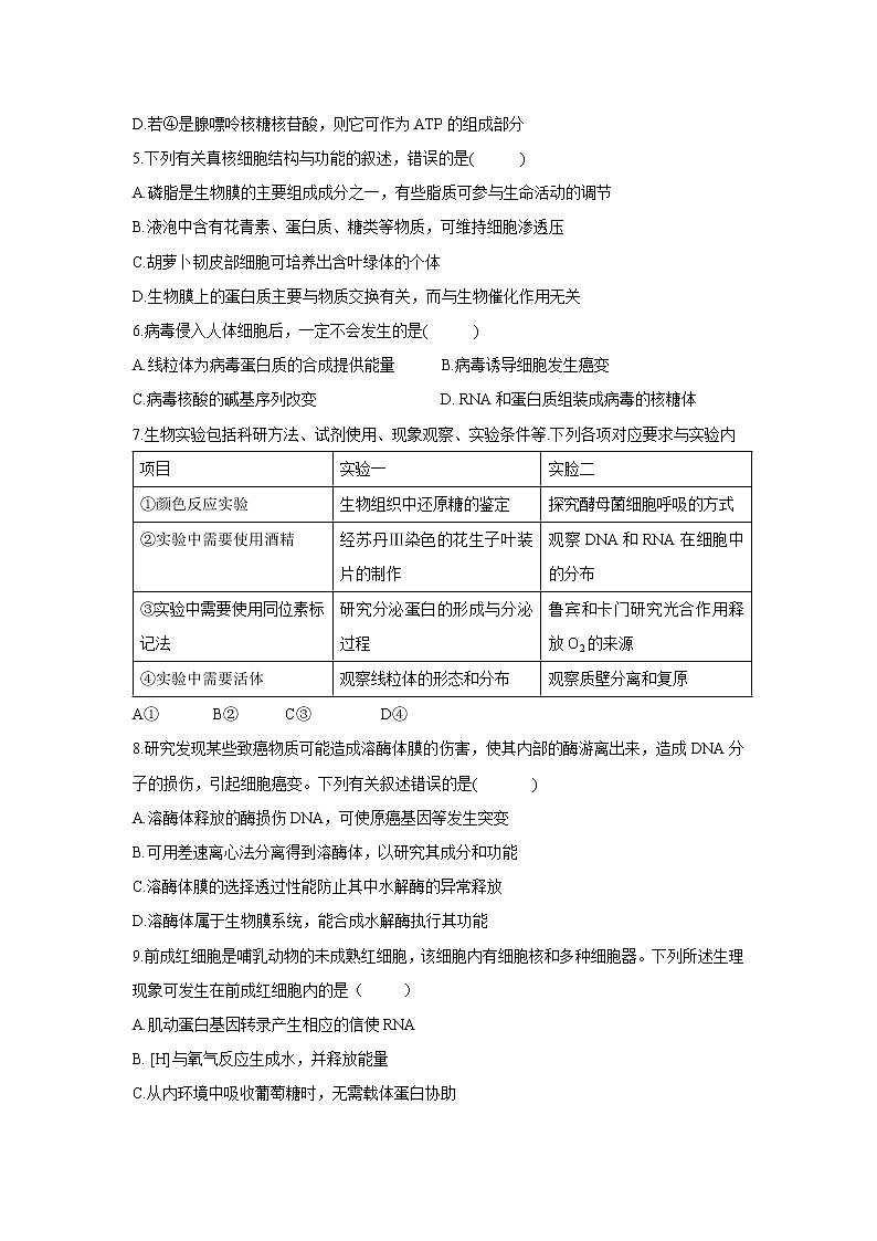 【生物】安徽省合肥市合肥一中、合肥六中2018-2019学年高二下学期期中联考试题第2页