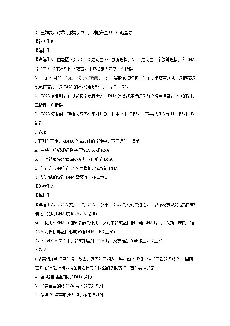 【生物】北京市海淀区一零一中学2018-2019学年高二下学期期中考试试题（解析版）02