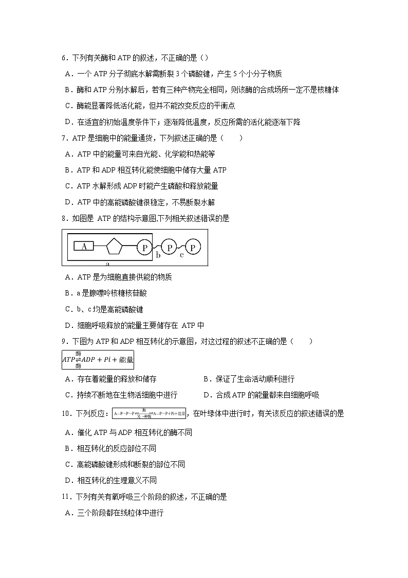 【生物】福建省莆田第八中学2018-2019学年高二下学期期中考试（文）试题(解析版)第2页