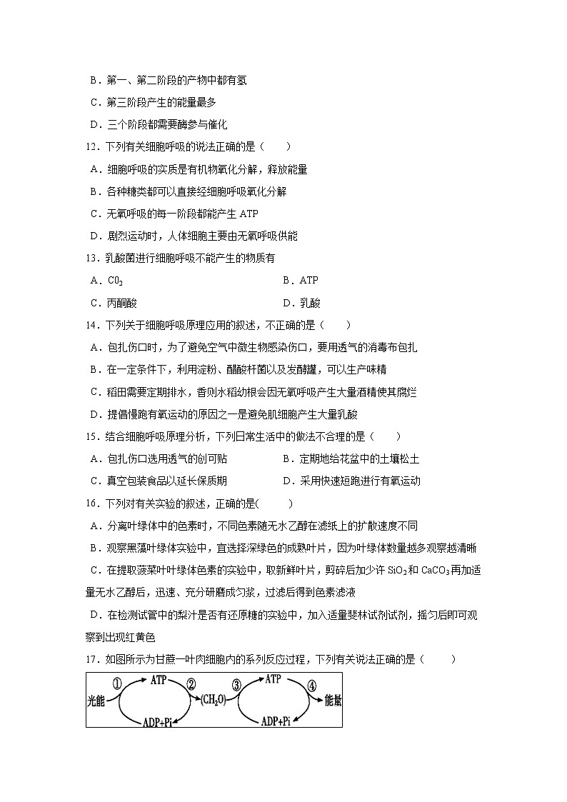 【生物】福建省莆田第八中学2018-2019学年高二下学期期中考试（文）试题(解析版)第3页