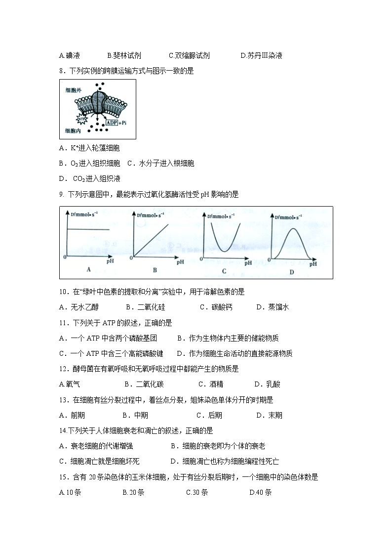 【生物】福建省三明市第一中学2018-2019学年高二下学期学段考试（期中）试题02