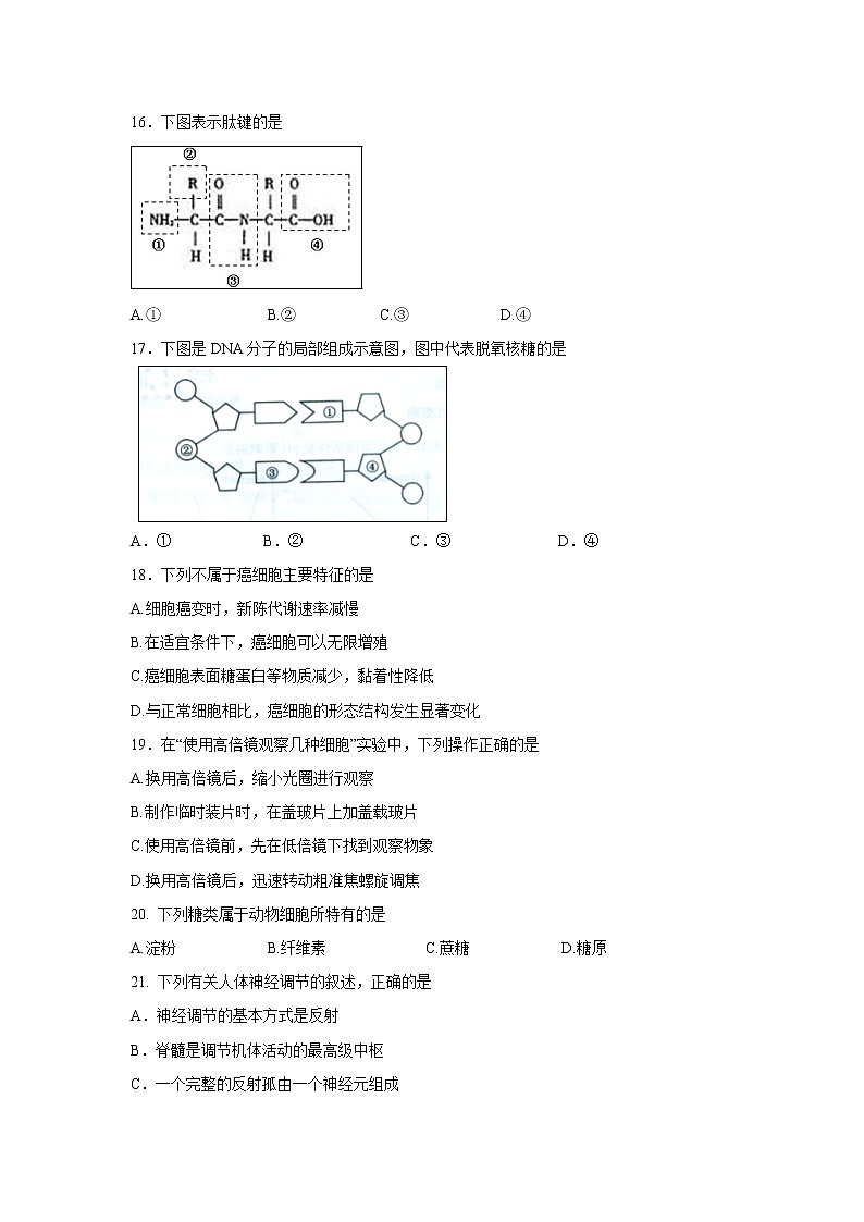【生物】福建省三明市第一中学2018-2019学年高二下学期学段考试（期中）试题03