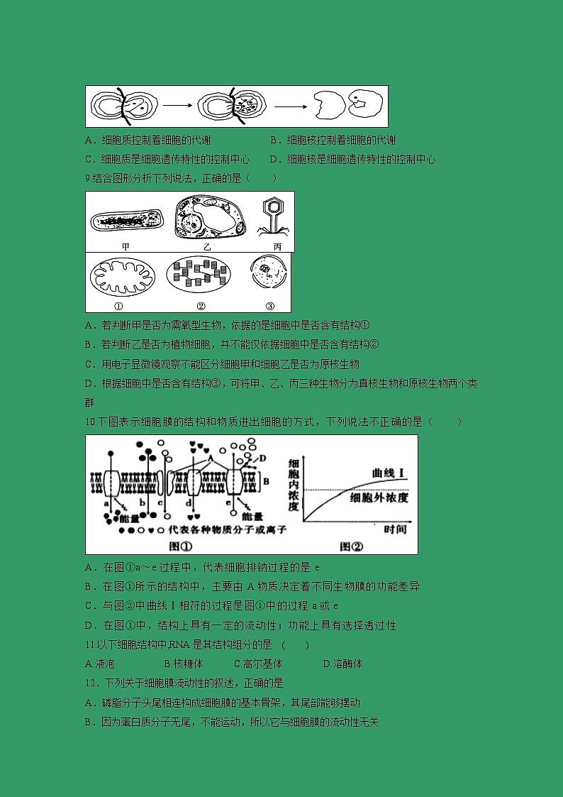 【生物】福建省厦门市湖滨中学2018-2019学年高二下学期期中考试（理）试题02
