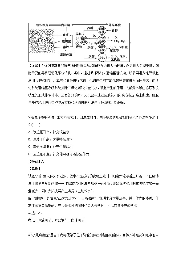【生物】福建省厦门市厦门外国语学校2018-2019学年高二下学期期中考试（文）试题 （解析版）03
