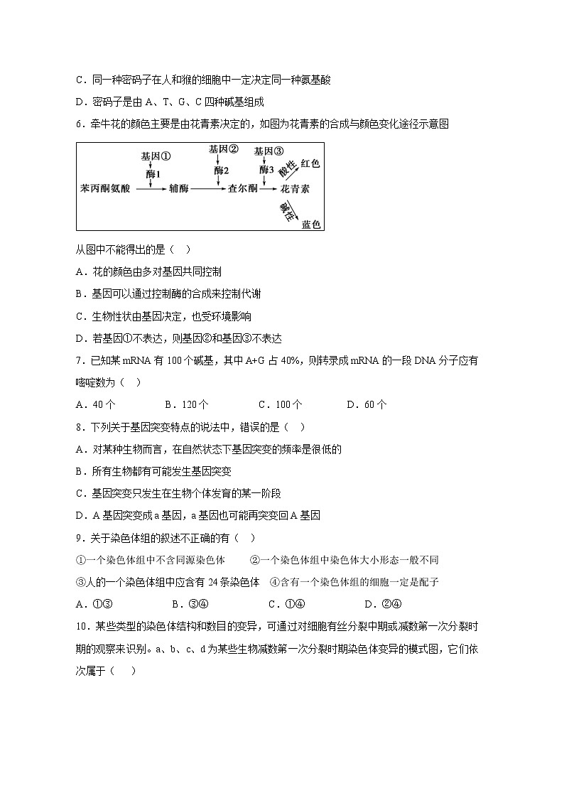 【生物】福建省上杭县第一中学等六校2018-2019学年高二下学期期中考试试题02