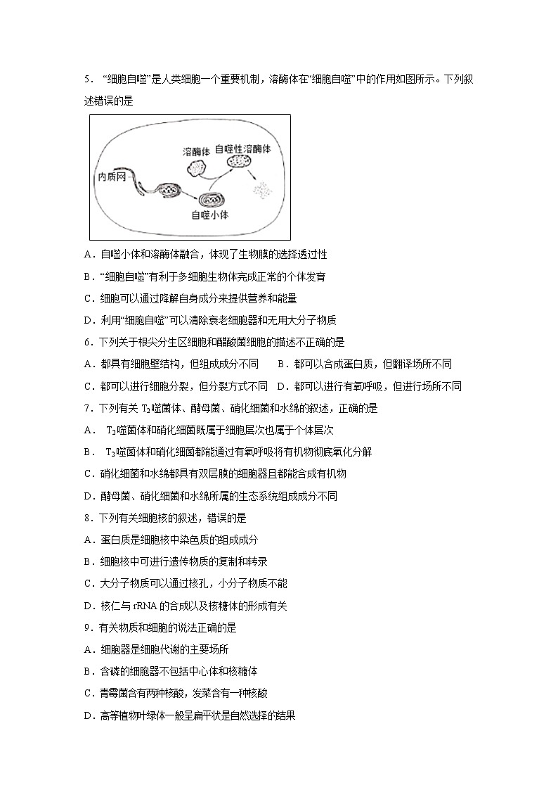 【生物】黑龙江省齐齐哈尔市第八中学2018-2019学年高二下学期期中考试试题02