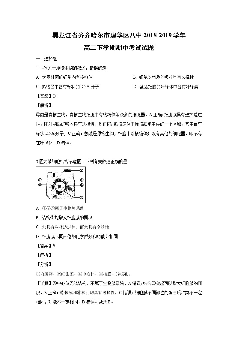 【生物】黑龙江省齐齐哈尔市建华区八中2018-2019学年高二下学期期中考试试题（解析版）01