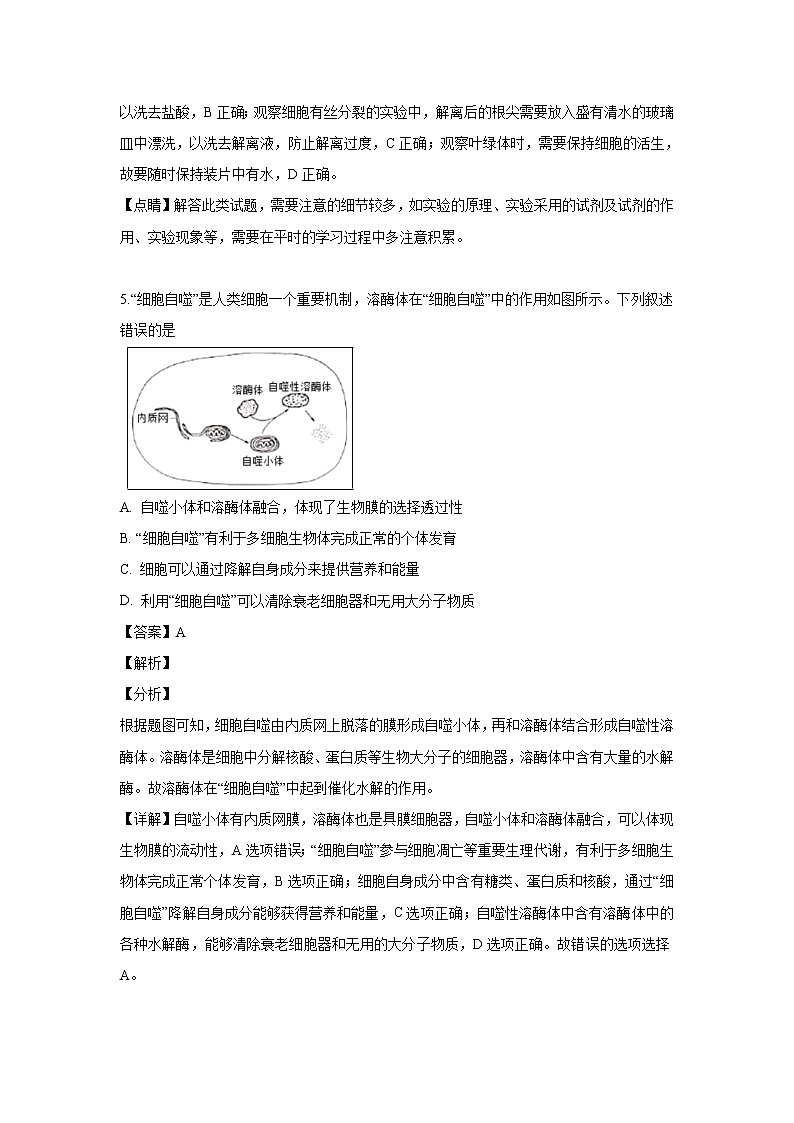 【生物】黑龙江省齐齐哈尔市建华区八中2018-2019学年高二下学期期中考试试题（解析版）03