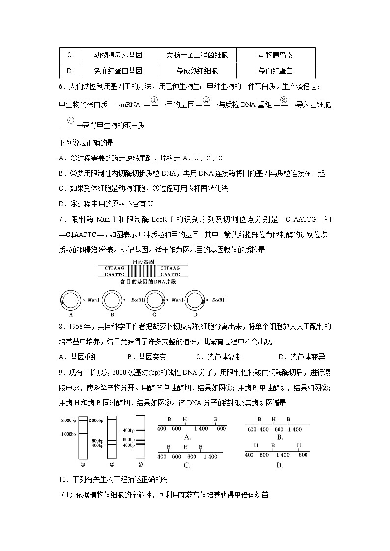 【生物】湖北省黄冈市黄梅国际育才高级中学2018-2019学年高二下学期期中考试试题02