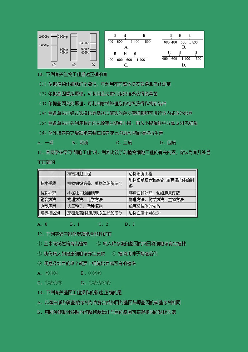 【生物】湖北省黄梅国际育才高级中学2018-2019学年高二下学期期中考试试卷03