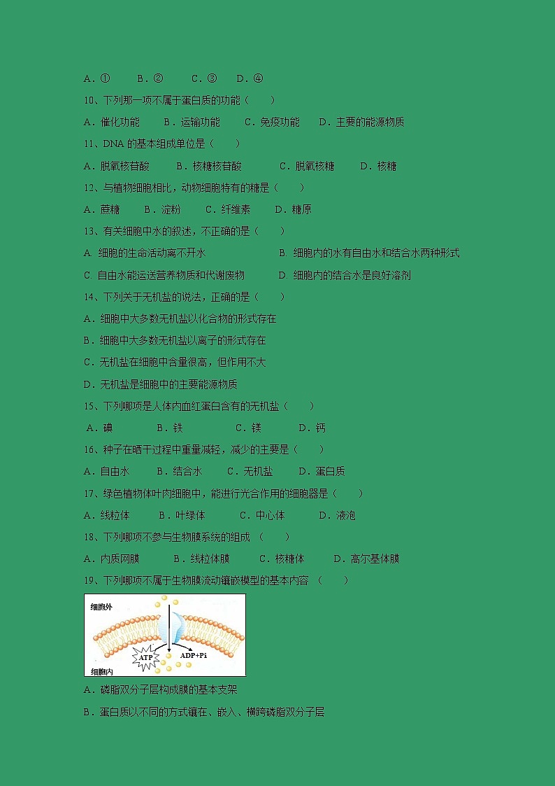 【生物】湖南省衡阳市第八中学2018-2019学年高二下学期期中考试 （文）02