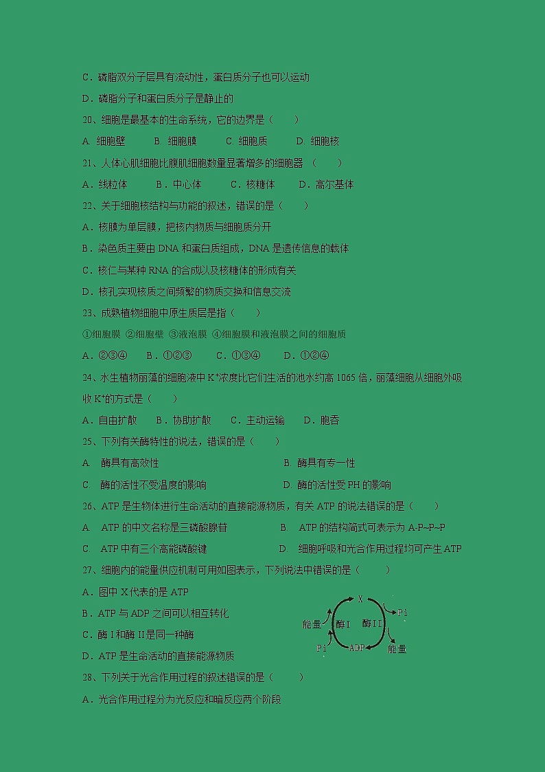 【生物】湖南省衡阳市第八中学2018-2019学年高二下学期期中考试 （文）03