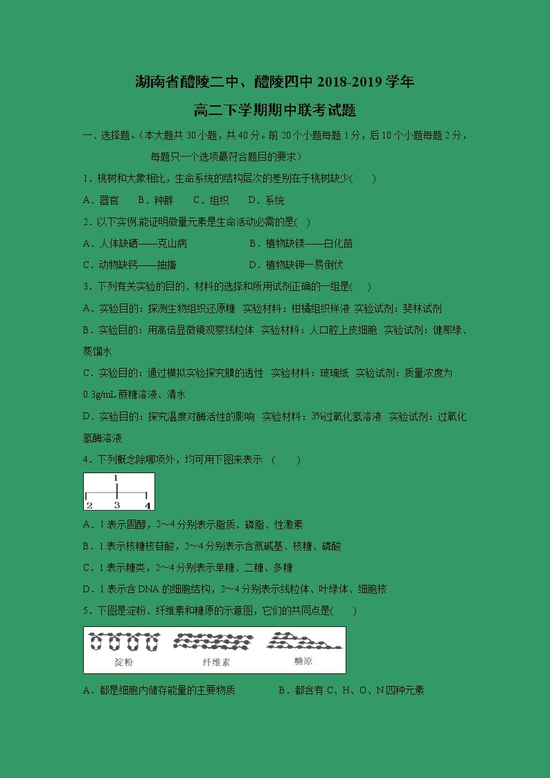 【生物】湖南省醴陵二中、醴陵四中2018-2019学年高二下学期期中联考试题01