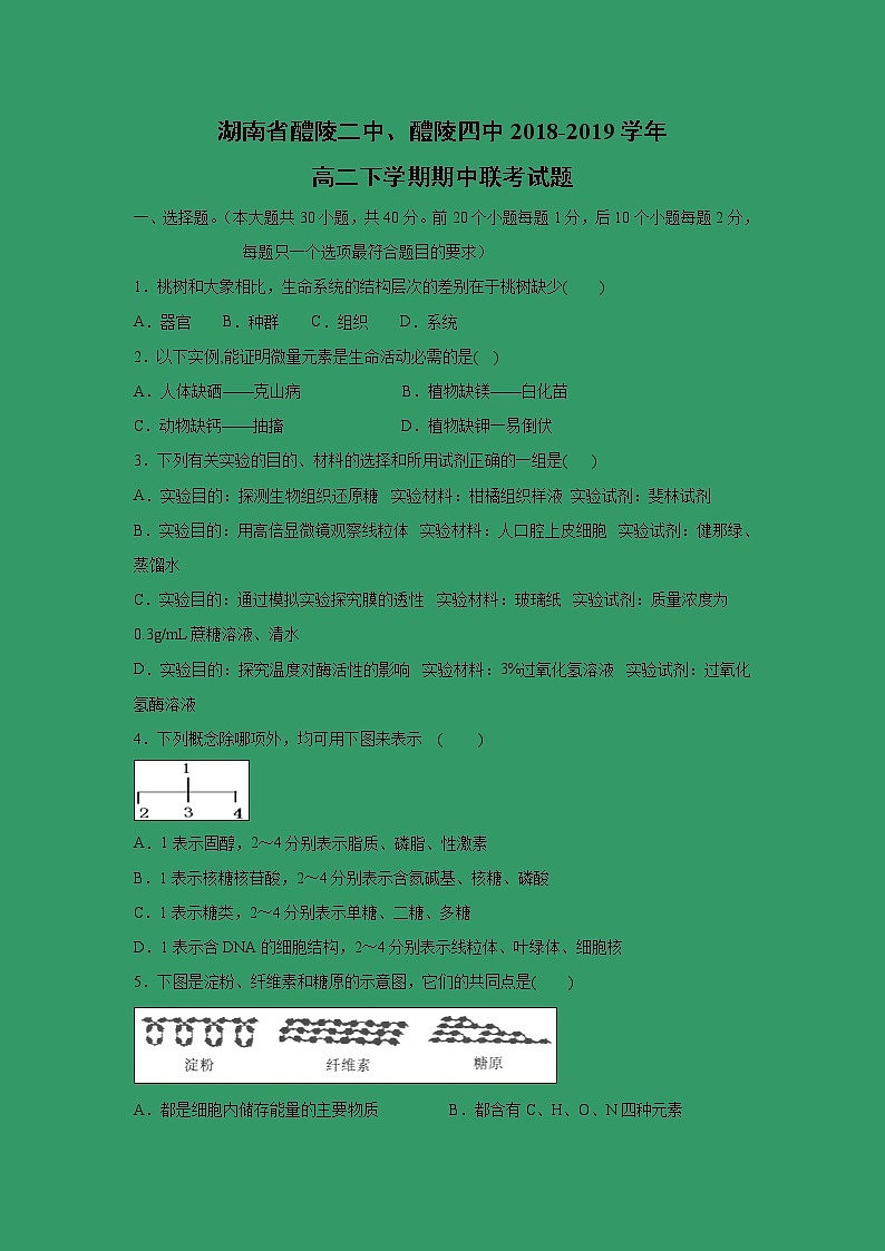 【生物】湖南省醴陵二中、醴陵四中2018-2019学年高二下学期期中联考试题01