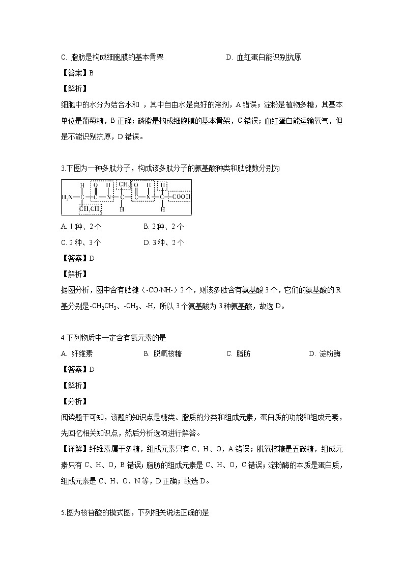 【生物】湖南省师大附中2018-2019学年高二下学期期中考试试题（解析版）第2页