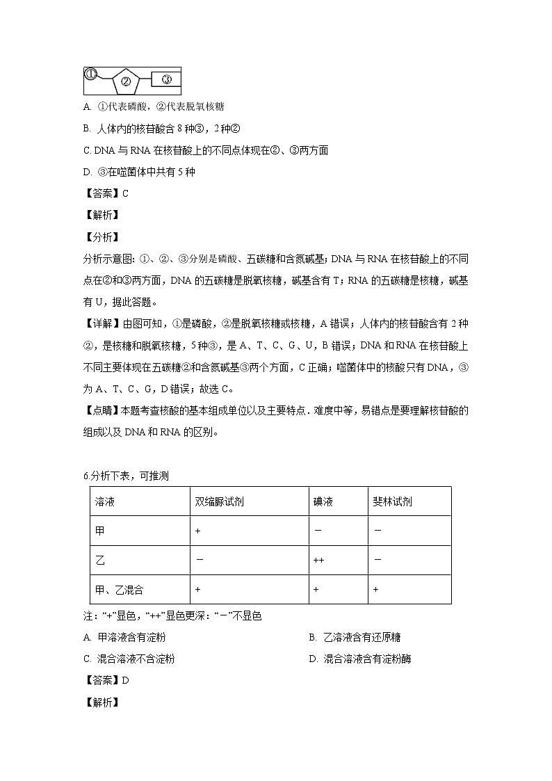 【生物】湖南省师大附中2018-2019学年高二下学期期中考试试题（解析版）第3页