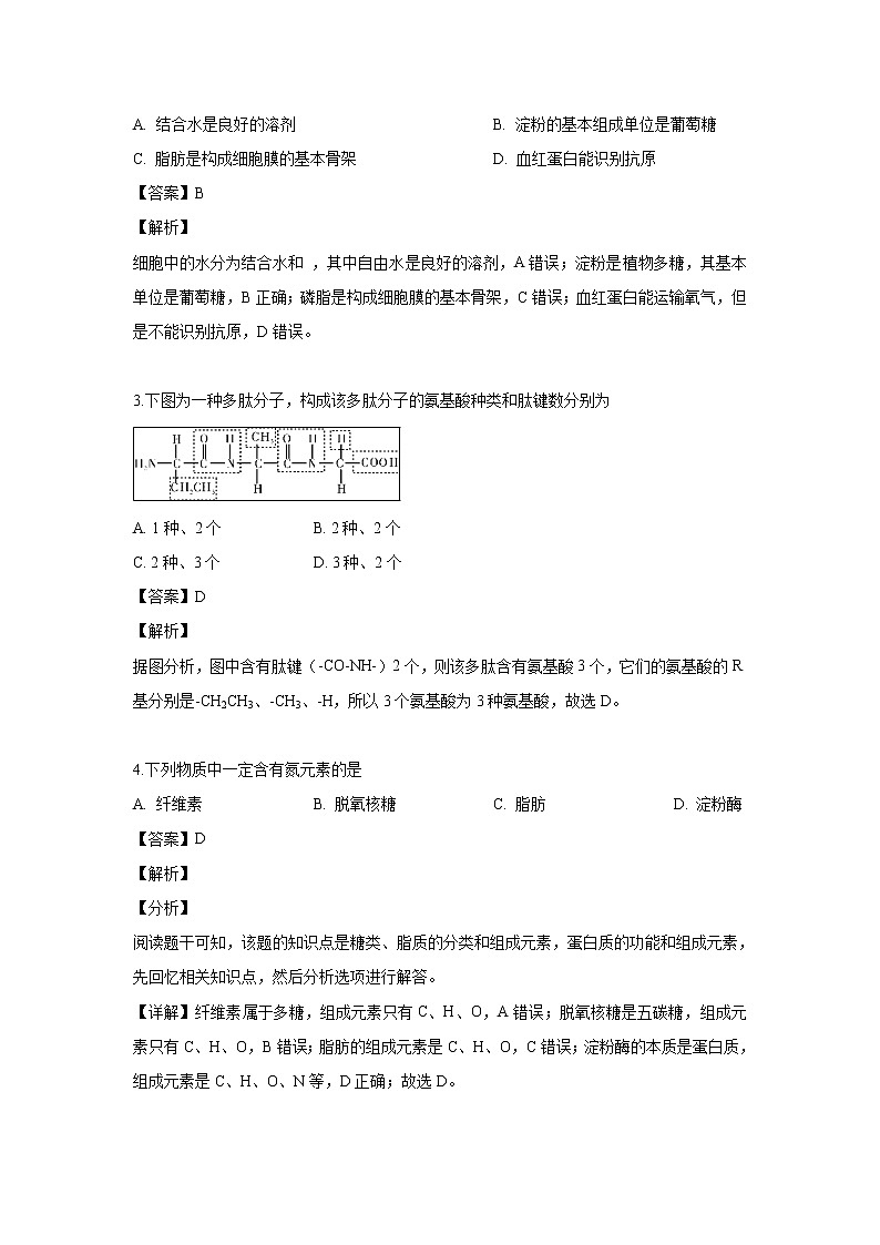 【生物】湖南省师范大学附属中学2018-2019学年高二下学期期中考试试题 （解析版）02