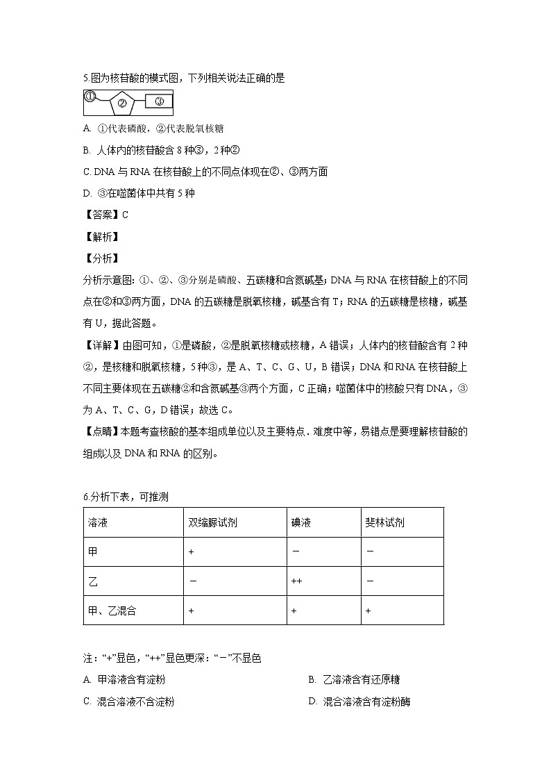【生物】湖南省师范大学附属中学2018-2019学年高二下学期期中考试试题 （解析版）03