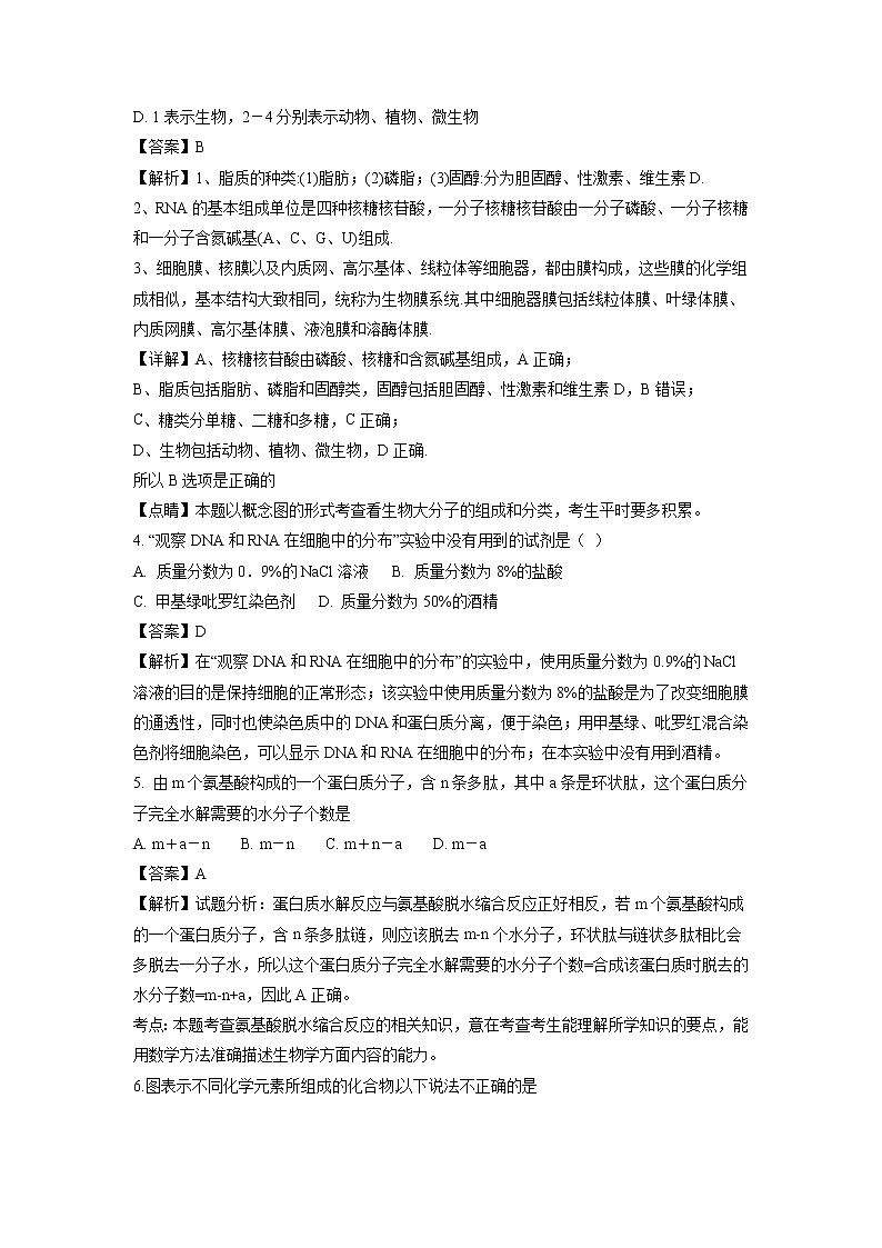 【生物】宁夏银川一中2018-2019学年高二上学期期中考试试卷（解析版）02