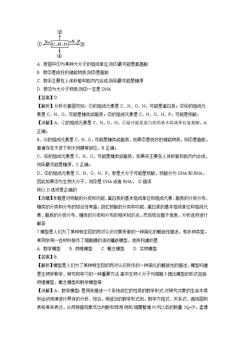 【生物】宁夏银川一中2018-2019学年高二上学期期中考试试卷（解析版）03