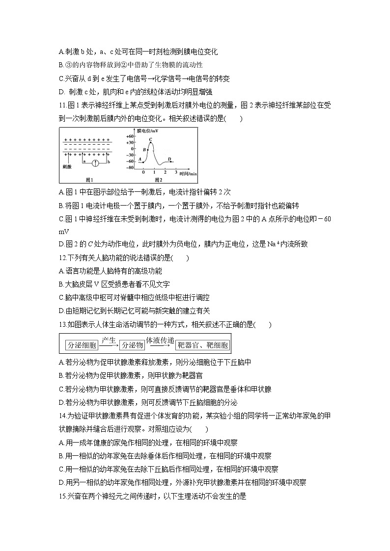 【生物】山东省济宁市第二中学2018-2019学年高二上学期期中考试试卷03