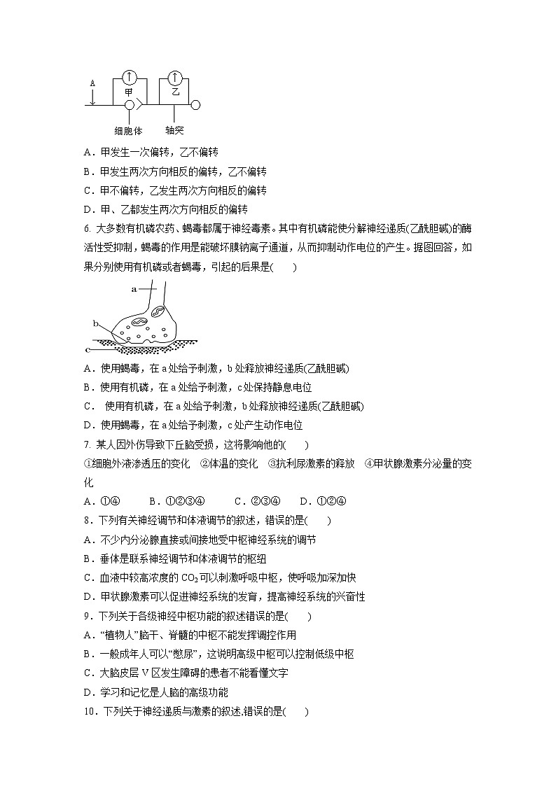【生物】山东省济宁市微山县第二中学2018-2019学年高二上学期期中考试试题02