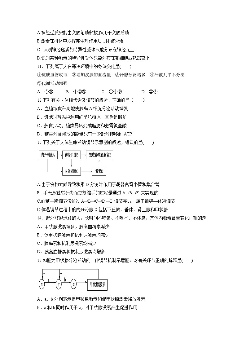 【生物】山东省济宁市微山县第二中学2018-2019学年高二上学期期中考试试题03
