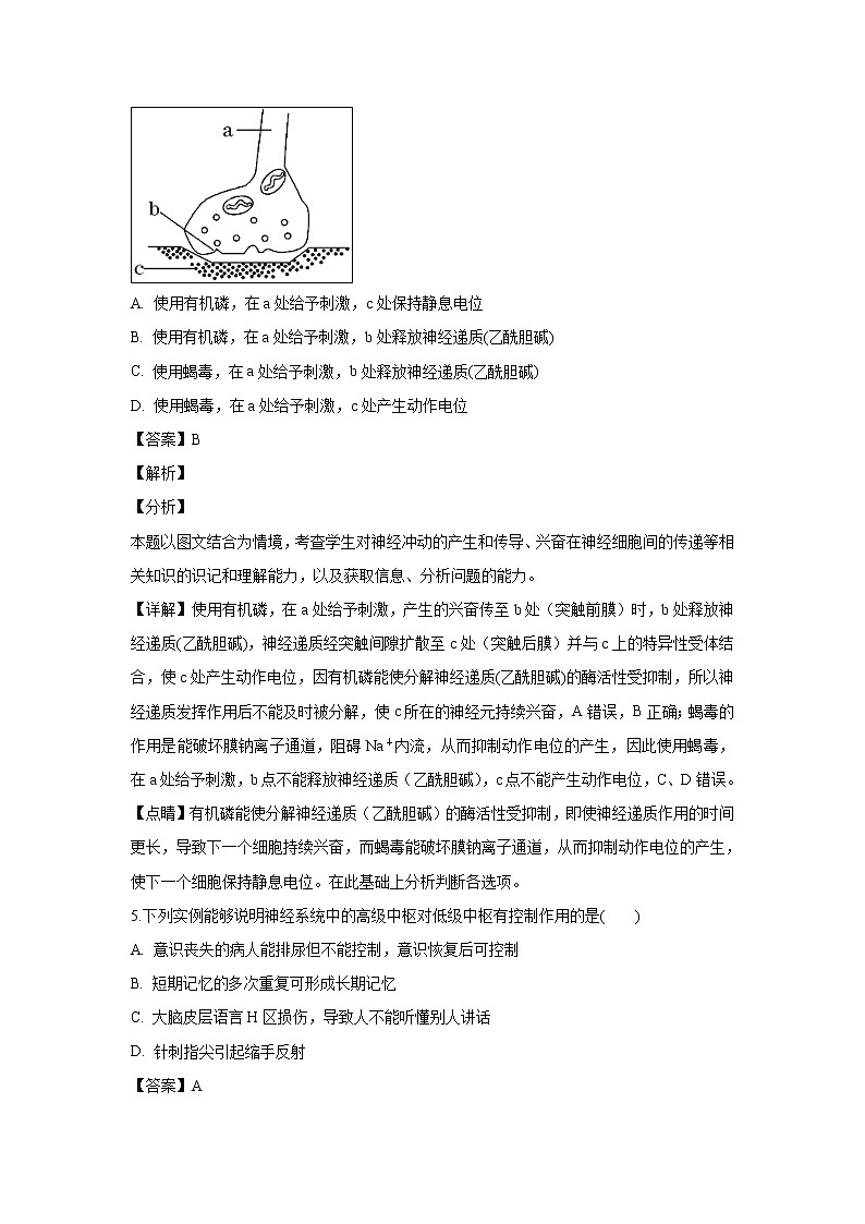 【生物】山东省潍坊市第一中学2018-2019学年高二上学期期中考试试卷（解析版）03